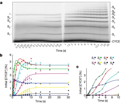 Figure   2.2   |   Millisecond   kinetics   of   a   single   encounter   reaction   reveal   sequential   processivity