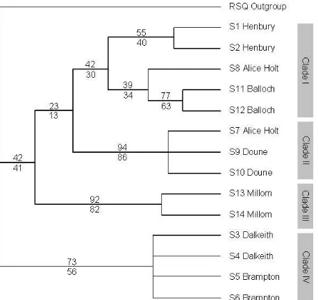 Figure 2. Phylogenetic tree showing Bootstrap and Jacknife analysis results above and below each For Peer Review Onlygroup separation