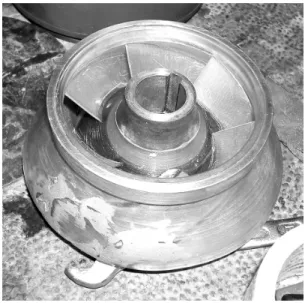 Fig. 4. The pomp rotor prototype after testing [10] 