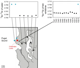 Figure S3. Identification of Migrants by Sr Isotope Analysis 