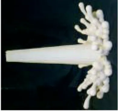 Figure 11 SLS model representing a water splash 5