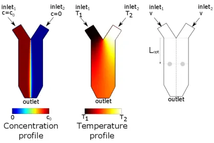 Figure 2.9: Equilibration of concentration and temperature inside the channel