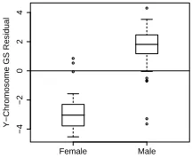 Fig. 2. GS residuals from the linear model of gene expression onphenotype, for each lowest-level chromosome band (row) and sample(column)