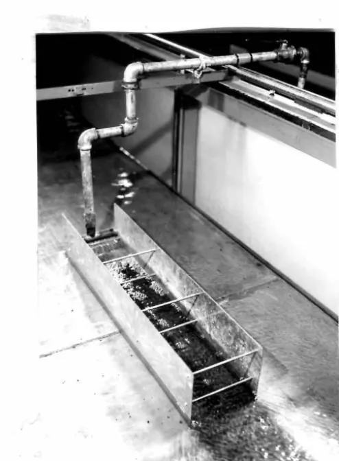 Figure 3. 6 The 20-cm-wide source . 