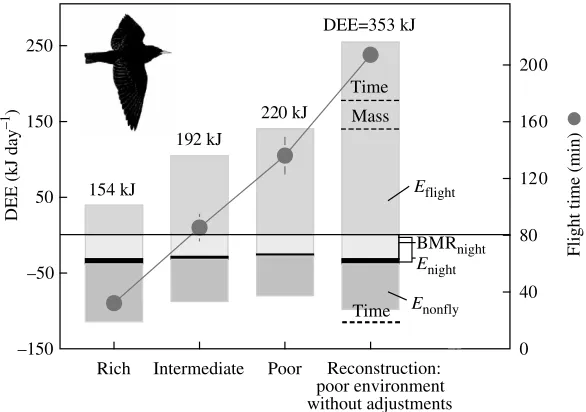 Fig. 6. Energy budgets and ﬂight times in different environments. Also shown(far right) is the hypothetical budget and ﬂight time in the poor environment ofis spent during day-time when not ﬂying