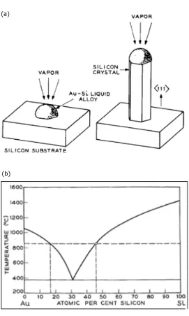 Figure 2.1. (a) Schematic of the vapor-liquid-solid (VLS) growth