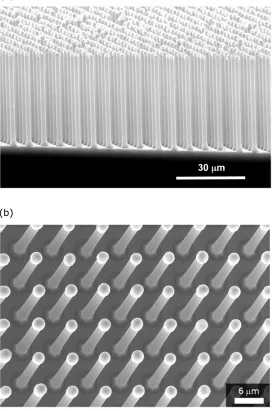 Figure 2.10. (a) Cross-sectional and (b) top-down SEM images of