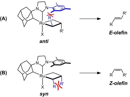 Figure 2.3. Key steric interactions governing Z-selectivity in CM reactions of allylic-substituted olefins