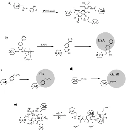 Figure 8. Several representations of activatable fibrinolysis inhibitor (TAFI) removes polar amino acids, increasing theprobe’s affinity for human serum albumin [34]