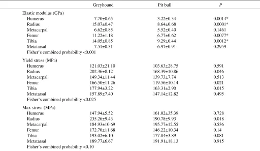 Table 2. Material properties of the bone