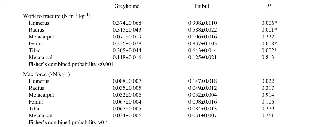 Table 3. Whole bone properties