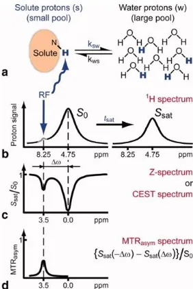 Fig. 1.2 Chemical Exchange Saturation Transfer (CEST). | Principles and measurement 