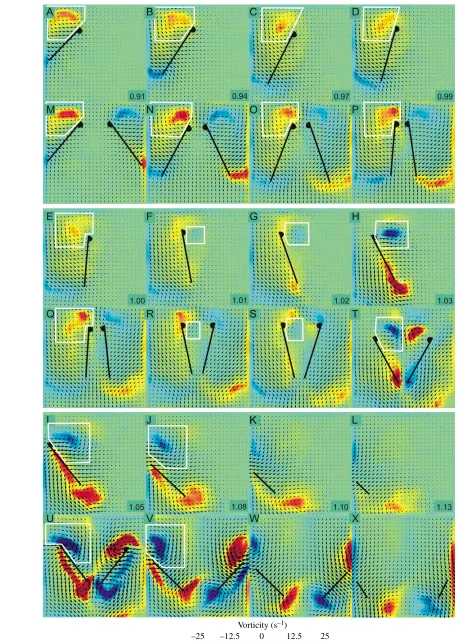 Fig. 7. See previous page for legend.