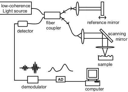 Figure 1.1: Simpliﬁed OCT system setup using a ﬁber based Michelson interferometer.