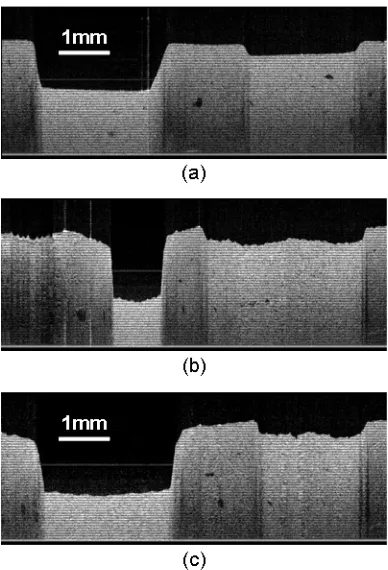 Figure 2.7: (a) Target phantom image by a motorized stage scanning (control group); (b) Targetphantom image by manual scanning and reconstructed based on time order; (c) Target phantomimage by manual scanning and reconstructed based on estimated displacement.