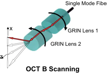 Figure 3.2: Implementation of PARS probe