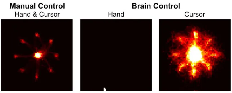 Figure 3.1.3.3-2 Hand and Cursor Position During Decoding Heat maps of Hand and Cursor positions during Manual & Brain Control
