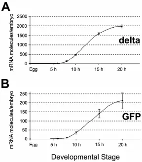Fig. 2.2. Temporal expression pattern of endogenous delta gene compared to the temporal expression pattern of GFP mRNA from the R11-GFP reporter construct