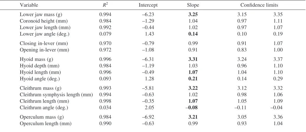 Table 2. Regressions of the dimensions of the most important skeletal elements involved in feeding against ﬁsh cranial length