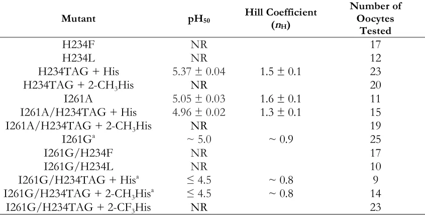 Table 2.4. Effects of mutation at His234.  pH50 and nH data are shown as mean ± SEM. NR, nonresponsive