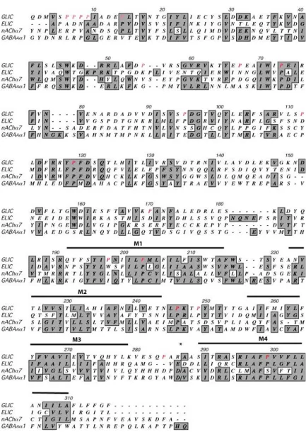 Figure 3.1. Sequence alignment of GLIC and eukaryotic pLGICs. Prolines examined in this study are shown in red