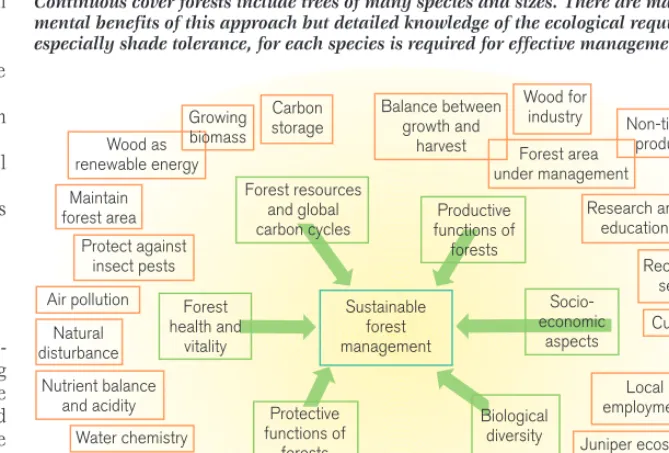 Figure 1Diagram of sustainable forestry values at Thirlmere forest