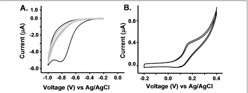 Figure 1.3 Cyclic voltammetry (CV) results for 1s and 3s.  A) The electrochemical activation of 1s   2s