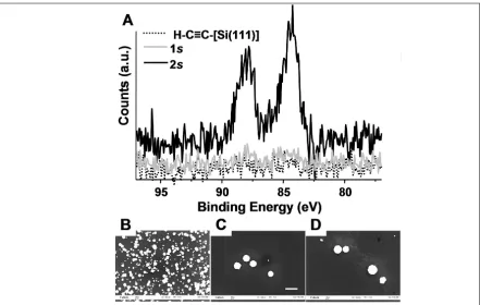 Figure 1.5 Demonstration of bioattachment to H-C≡C-[Si(111)], through reductive formation of 2s followed by the amide coupling of biotin
