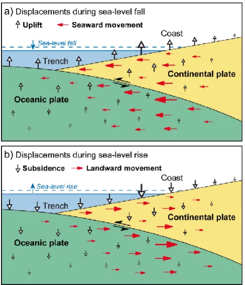 Fig. 5. Sketch summarizing the vertical and horizontal displace-ments resulting from (a) a falling sea level and (b) a rising sea level(not to scale).