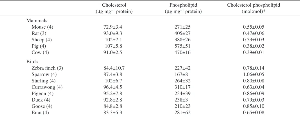 Table 3. Cholesterol and phospholipid content of microsomal membranes from the brain of mammals and birds