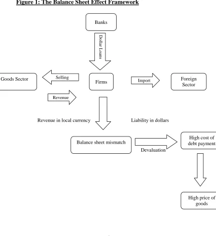 Figure 1: The Balance Sheet Effect Framework 