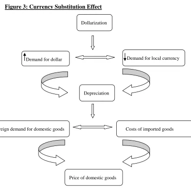 Figure 3: Currency Substitution Effect 