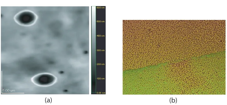 Figure 5.6: (a) AFM image of a polynorbornene ﬁlm. (b) Optical micrograph (20xmagniﬁcation) of a polynorbornene ﬁlm.