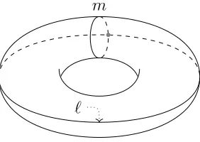 Figure 1.5: The torus T 2 = ∂N(K) for K = unknot, with cycles m and ℓ.