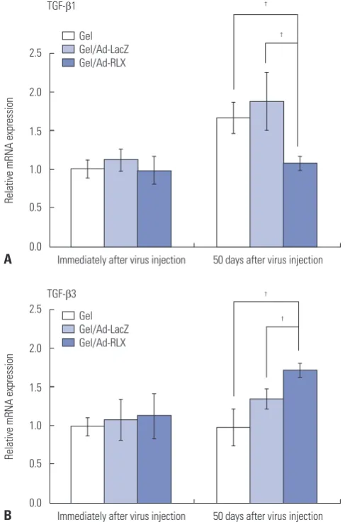 Fig. 5. Relaxin-expressing Ad decreases transforming growth factor-β1 (TGF-β1) and increases TGF-β3 mRNA levels in pig scar tissues