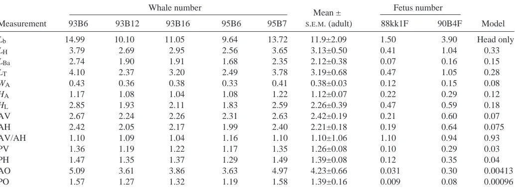 Table 1. Morphometric data from adult and fetal bowhead whales (all specimens female) plus 1/5 scale physical model