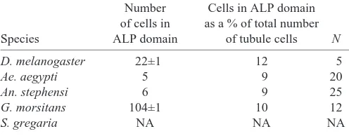 Table 2. Cell counts in alkaline phosphatase (ALP) domain