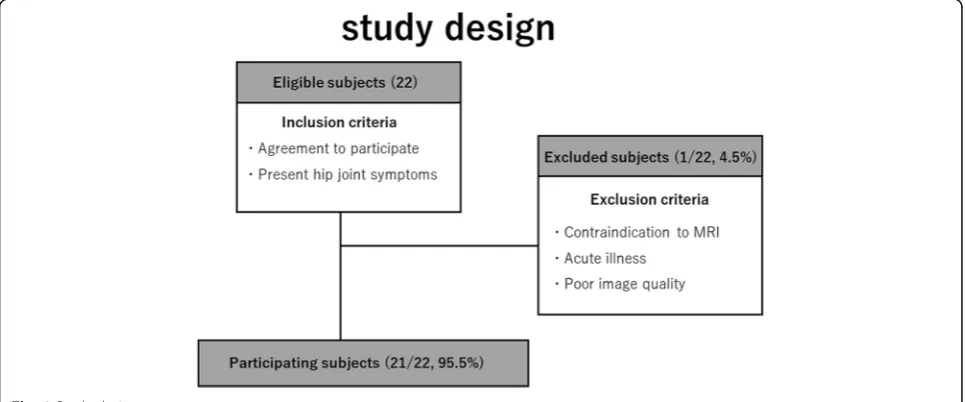 Fig. 1 Study design