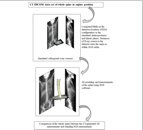Fig. 1 Conversion of supine CT data into digital reconstructed radiography (DRR) for comparable EOS measurement