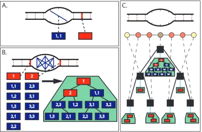 Figure 6.2: (A) Creation moves (blue line) and deletion moves (red highlight) are repre-sented here by rectangles
