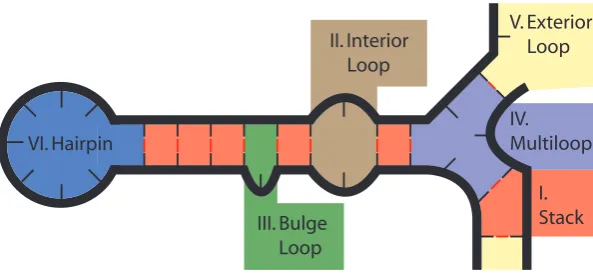 Figure 3.1: Secondary structure divided into loops.
