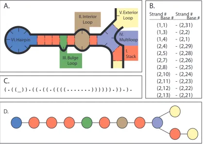 Figure 5.1: Example secondary structure, with diﬀerent representations: (A) Original loopdiagram representation