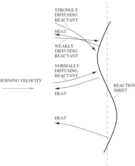 Figure 1.1: Schematic of a thermo-diﬀusive instability, showing relative diﬀusionrates toward the ﬂame