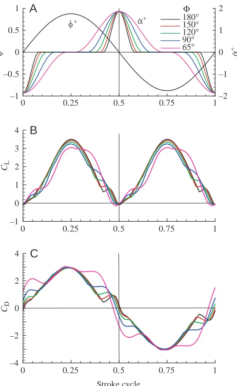 Fig.·(A) Non-dimensional angular velocity of pitching rotation (azimuthal rotation ((14