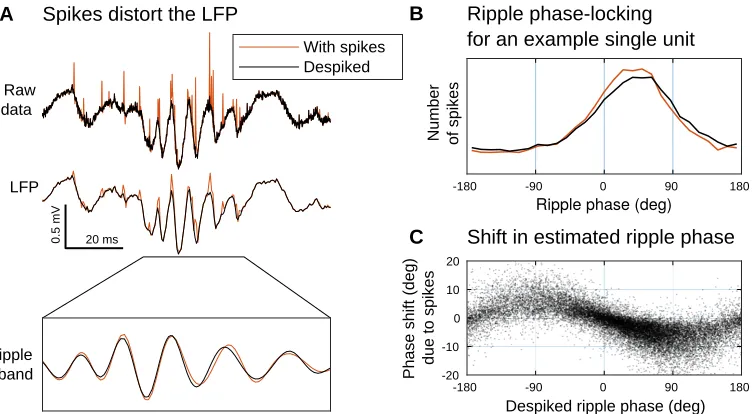 Figure 2.5: Spike removal for LFP analysis. Failing to remove spikes may bias subsequentwhich this spike was observed