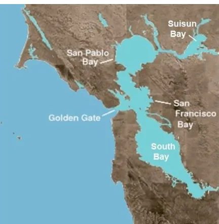 Figure 1. The San Francisco Bay Estuary located in northern California (USA) (Trump 2004)