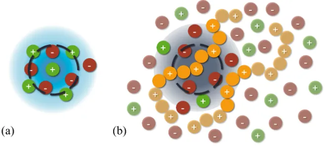 Figure 1.3: Schematic of the ion cloud, or distribution, about a tagged charge ofinterest