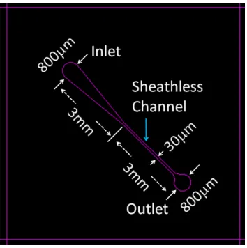 Figure 2.7. Layout design of the microfluidic channels for the sheathless cytometer. 