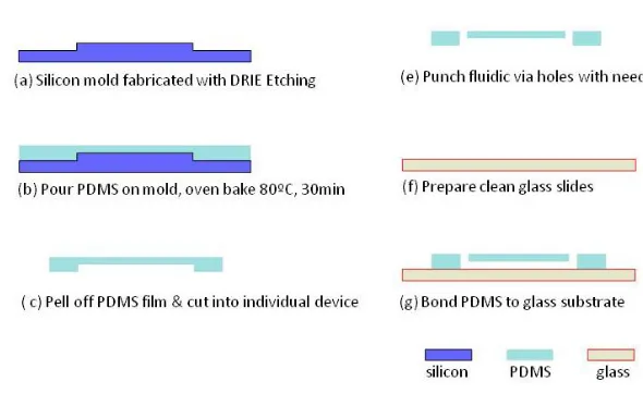 Figure 2.8. Illustration of the fabrication process flow of the PDMS devices. 