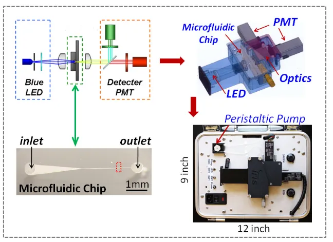 Figure 2.11. The configuration of the prototype system for two-color fluorescence 